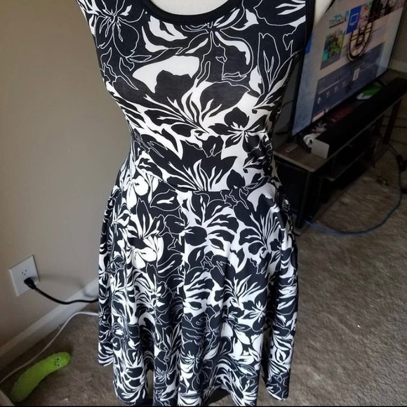 LuLaRoe Nicki - Picture 3 of 3